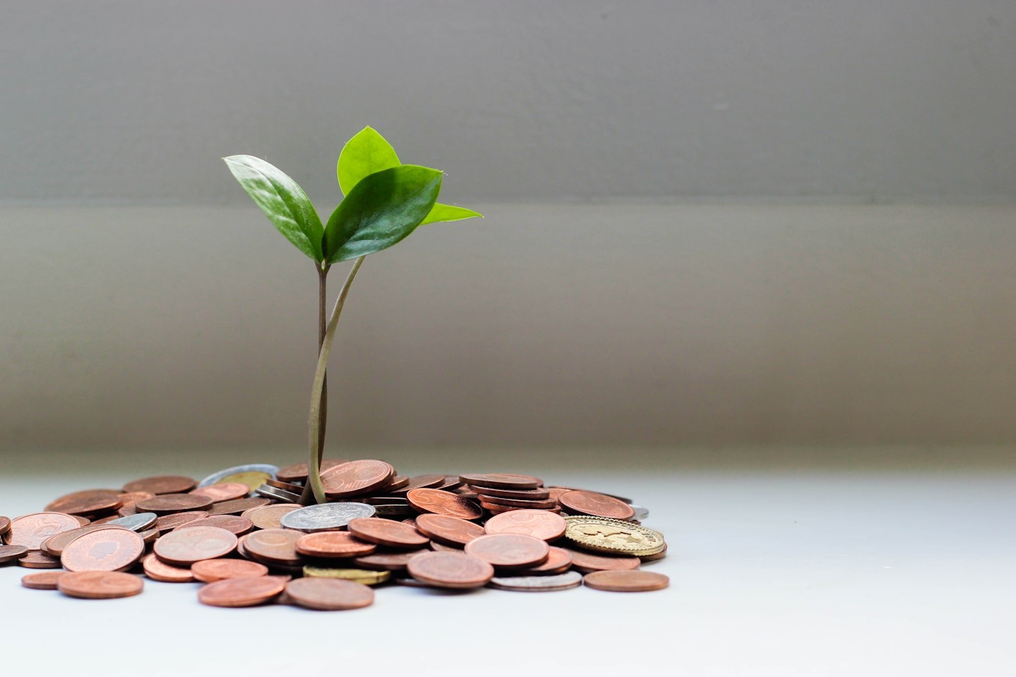 Pět tipů pro zlepšení finanční gramotnosti